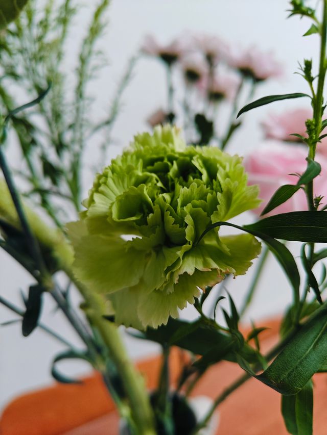 花點時間買束花，我的夏天直接降溫5°C