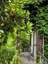 呢度真係夏天嘅好去處