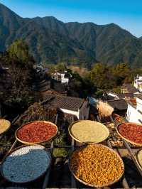 暑假遛娃5日玩轉婺源和黃山～全攻略