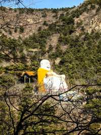 青岩寺歪脖老母祈福全攻略|心誠則靈
