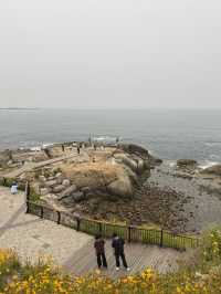Welcome to the beautiful city of Qingdao