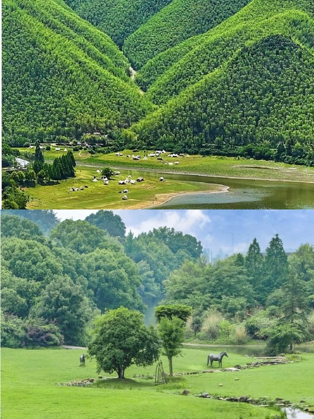 竹海雲間，浙裡撒歡安吉～盛夏好去處