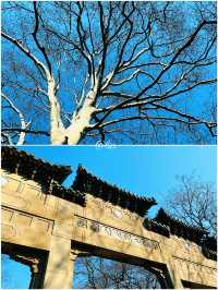 我相冊裏嘅100座城：4.南京