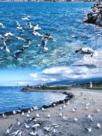青海湖｜一半係天空一半係夢境