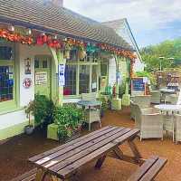 My Love Letter to London's Best Commute: Liverpool Street to Loughton!  