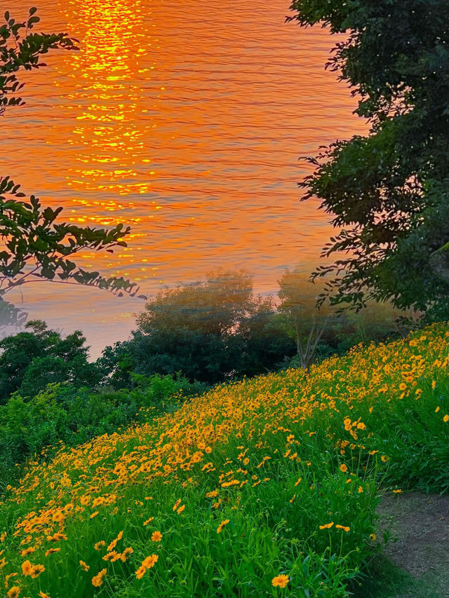 被低估嘅寶藏島嶼～太湖西山島
