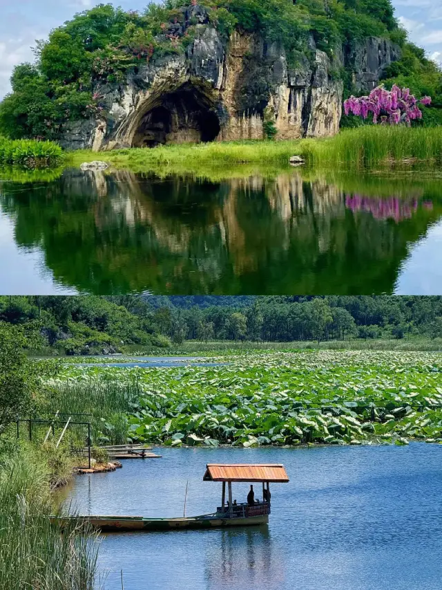 Coming in June-July, I totally regretted it—never expected the lotus flower banquet to be so delicious and photogenic.