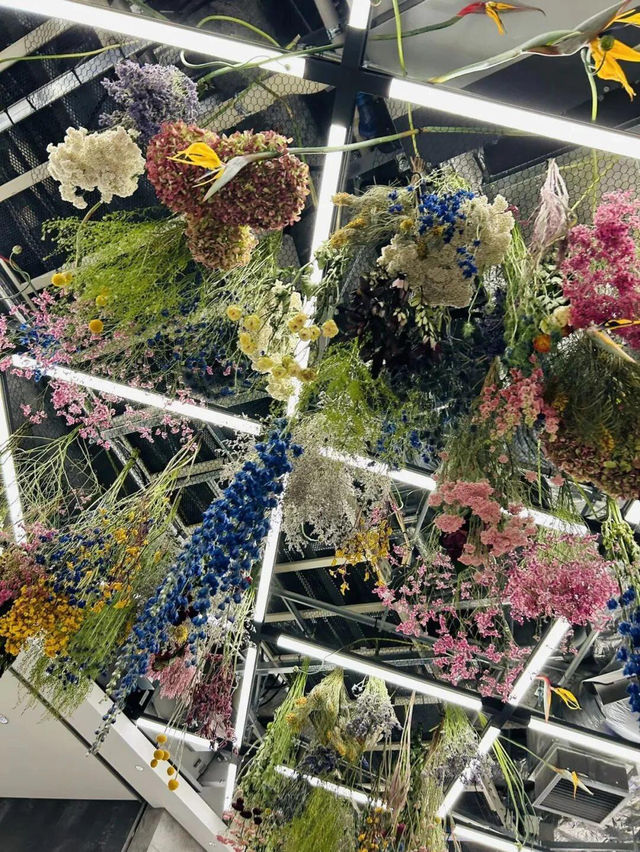 原宿必逛✨ HARAKADO 潮流宇宙大本營