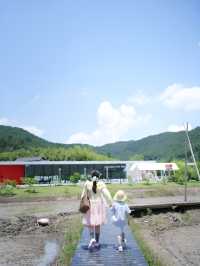 90後辣媽反向湊仔，同BB一齊住進東錢湖酒店