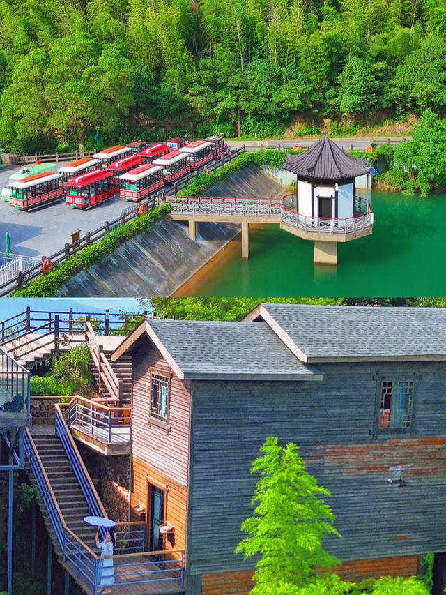 暑假大家都來南山竹海