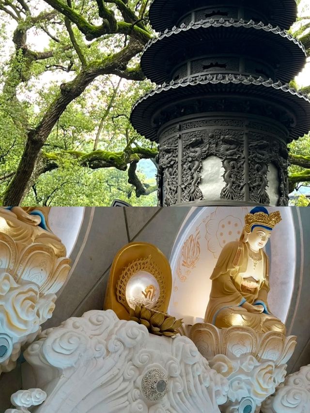 普陀山返嚟啦，講啲難聽嘅大實話