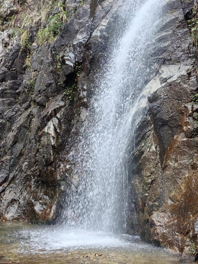 宜春明月山｜硒泉煮月溫禪骨 雲梯漫步叩天扉