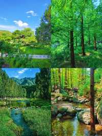 北京密雲去咗根本唔想走