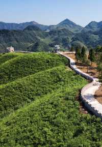 打卡青梅尖野生廚房拍攝露營地＋入住融景灣酒店 今次江浙滬周邊遊徹底愛上呢度 青梅尖