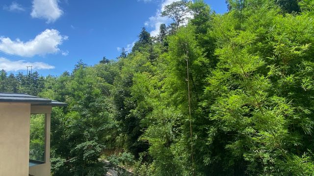 南昆山避暑勝地 | 湖畔竹影·私家秘境