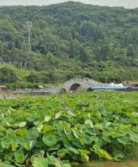 我幫爸媽搵嘅避暑勝地，佢哋住落就唔想走！