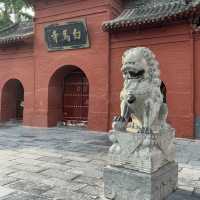 White Horse Temple (BaiMaSi) - LuoYang!
