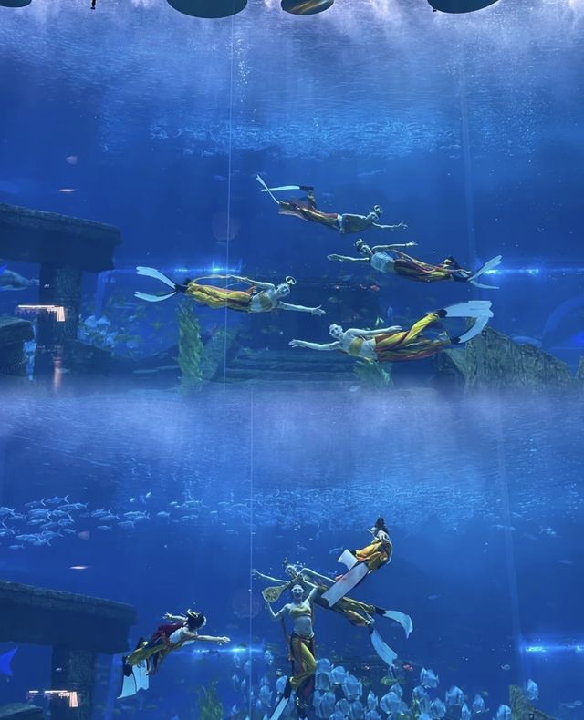 誤入海底三萬里 來場浪漫海底約會