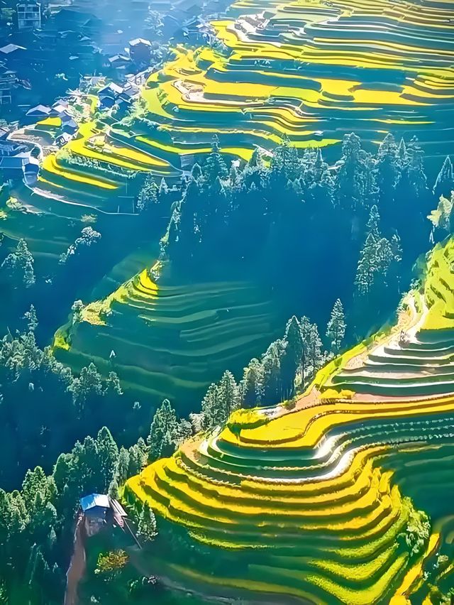 加榜梯田漫遊：在層層綠意裡拾光而行 