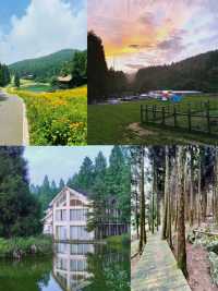 避暑就嚟武陵山國家森林公園！今個夏天最清涼嘅山野秘境