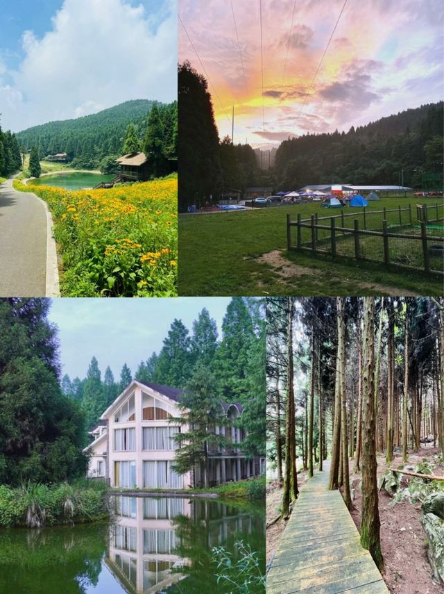 避暑就嚟武陵山國家森林公園！今個夏天最清涼嘅山野秘境