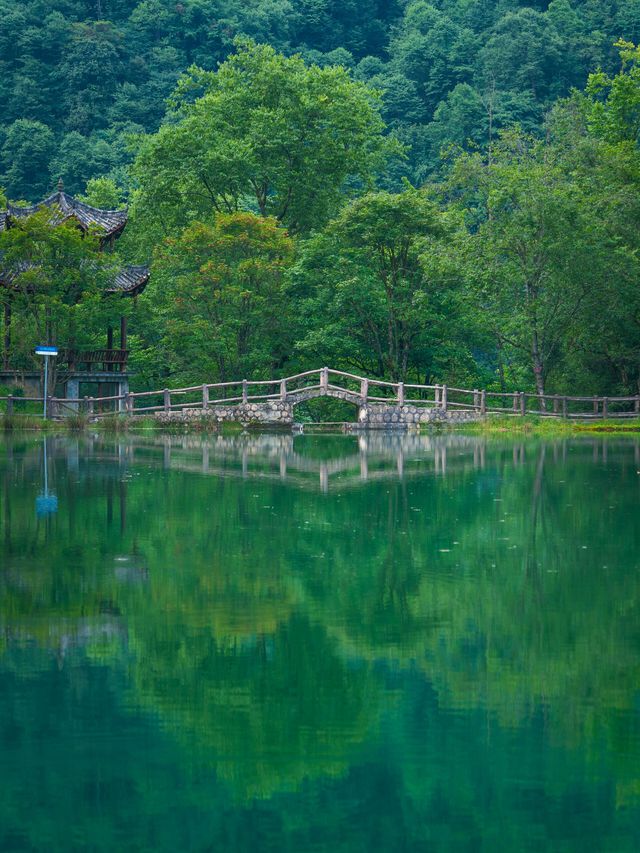 23℃避暑天堂！我喺森林影到仙氣大片