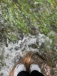 杭州九溪徒步｜喺小溪同茶園治癒系吸氧
