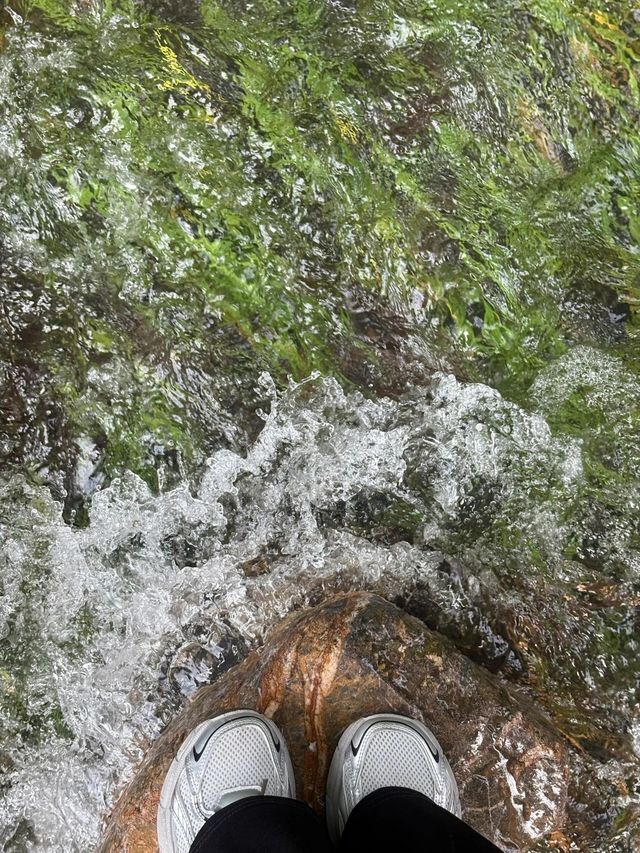 杭州九溪徒步｜喺小溪同茶園治癒系吸氧