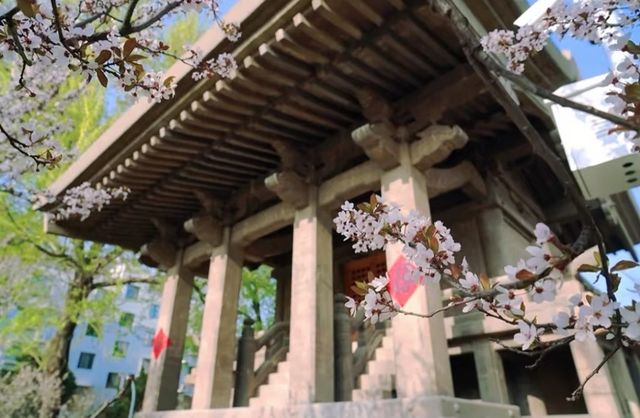 德式建築群：穿越民國的夢幻片場
