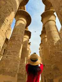 在埃及，被人類奇蹟震撼了10000次。