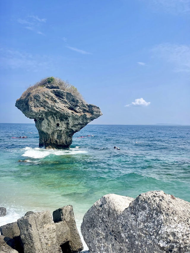 海龜之鄉，花瓶岩的第一道晨光