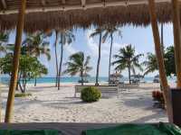 A Honeymoon to Remember