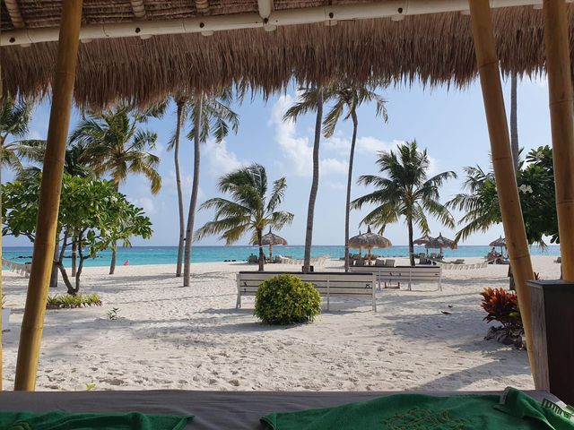 A Honeymoon to Remember