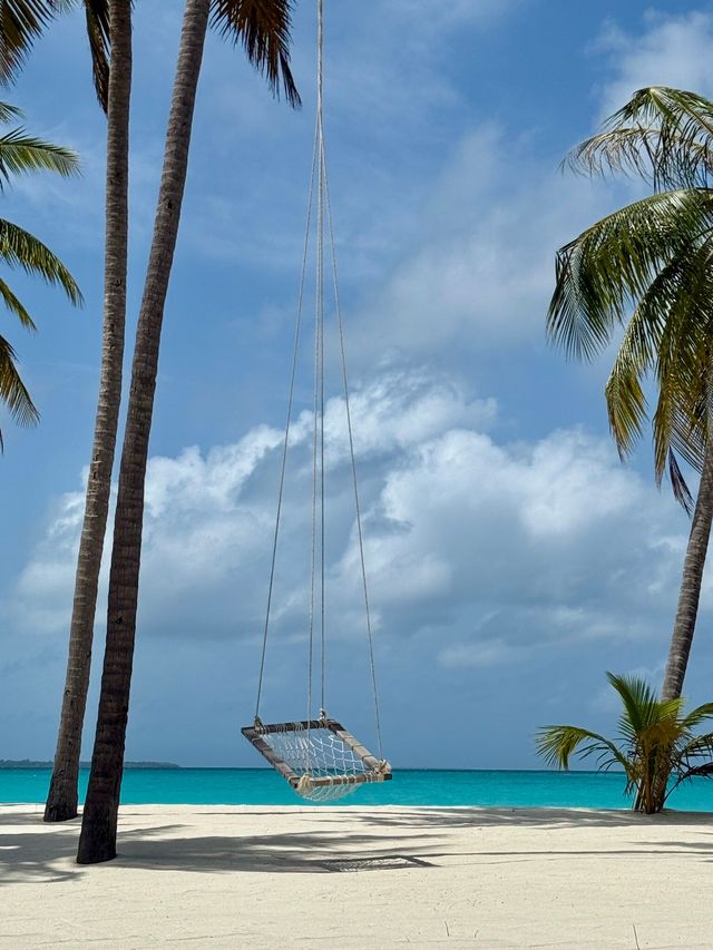Island Paradise Awaits