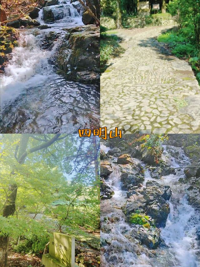 四明山，自然恩賜的浙東綠寶石