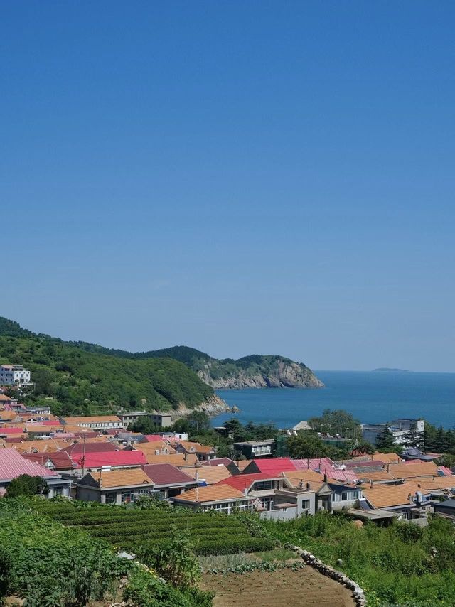 崂山私藏民宿天花板