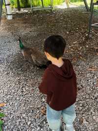 森迪零距離撸小浣熊樂園