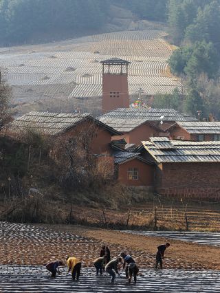Yunnan Self-Drive｜Dali's Lesser-Known Secret Village, Autumn Colors Are Stunning