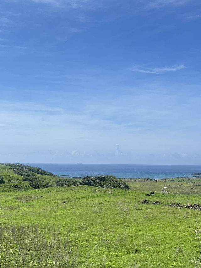 🌿 Dongji Island: Where Emerald Meadows Meet Endless Azure Skies! ☁️
