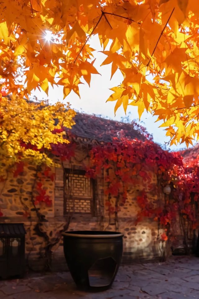 古北水鎮｜秋日限定紅葉盛宴！夜遊長城美到窒息