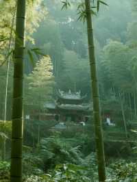 畢棚溝的秋天是打翻的調色盤！彩林雪山美成壁紙