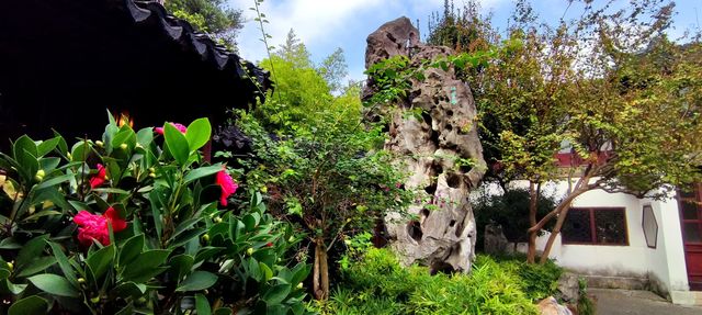 綠意依然、鮮花盛開的留園