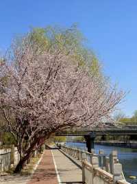 《東城探秘》北京最有靈魂的地方！打卡這些景點，讓你愛上這座古