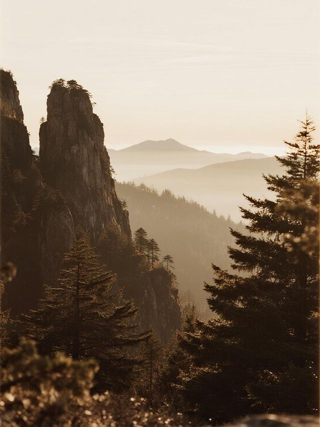 縉雲山秋日親子研學：漫步古道尋蹤，探秘森林學校的自然課堂