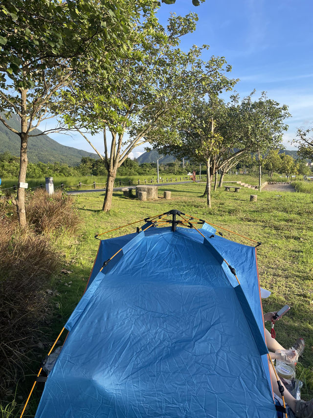 深圳最美濕地公園徒步攻略