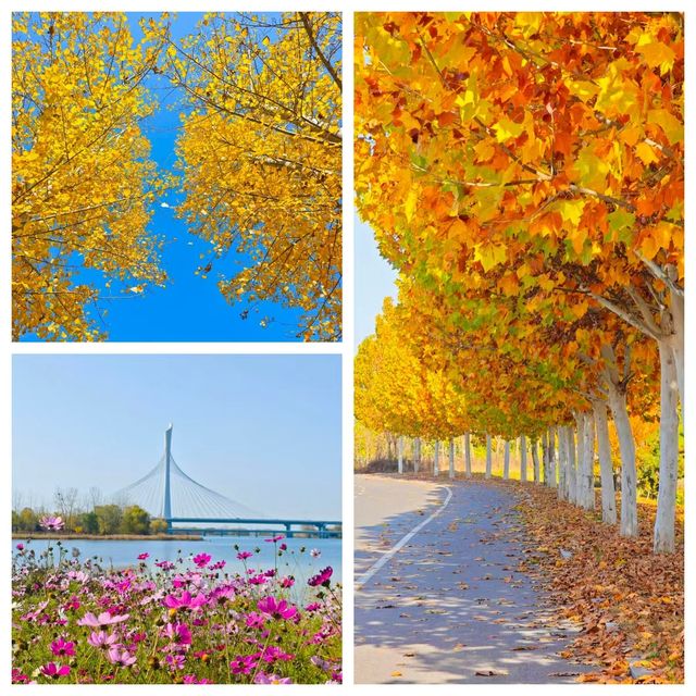 正定中心湖公園，石家莊親子遛娃的寶藏地