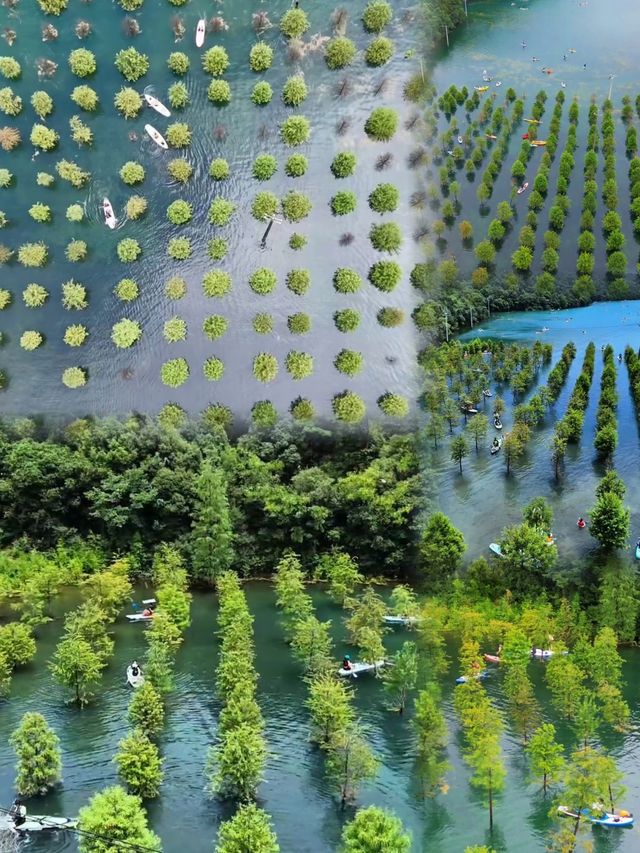 江浙滬玩水的世外桃源：桃花岕攻略