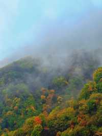 石家莊周邊｜阜平天生橋秋色絕了！雨中仙境美到窒息