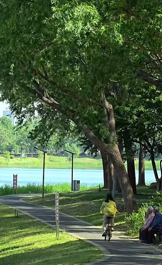 龍子湖日落絕美機位 龍子湖日落絕美機位