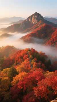 蘋果谷裡的絕美秋光棲霞秋色燃山野，萬畝紅葉映仙都！